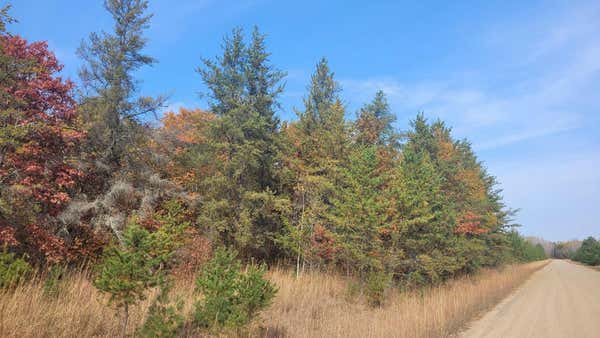 TBD STONEBACK TRAIL, BACKUS, MN 56435 - Image 1