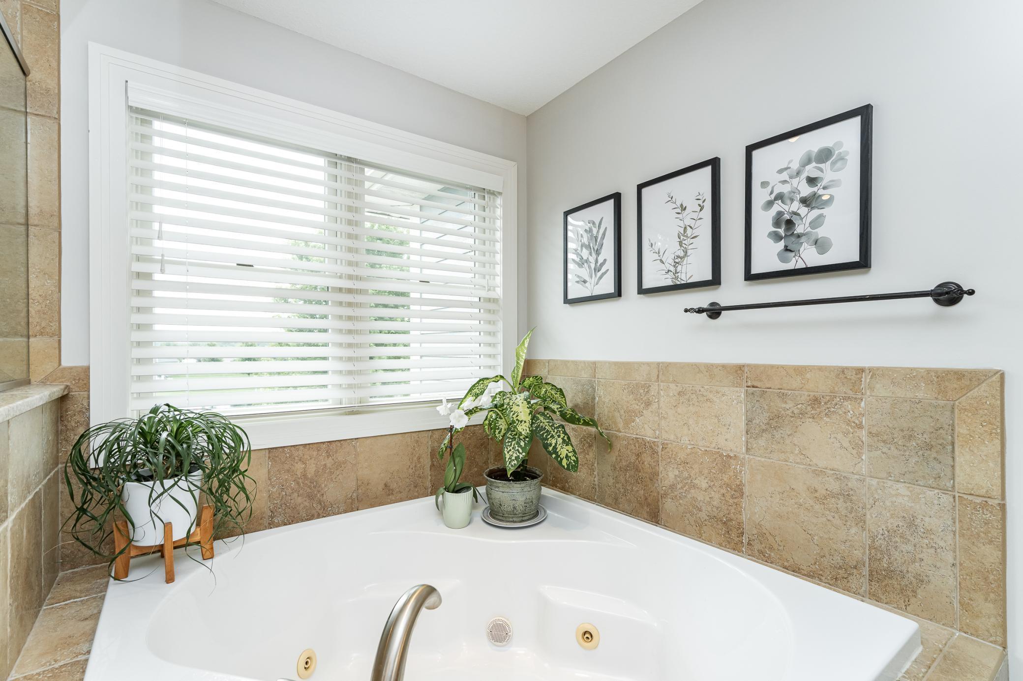 Rochester, Minnesota, 55902, United States, 6 Bedrooms Bedrooms, ,4 BathroomsBathrooms,Residential,Active,1888994