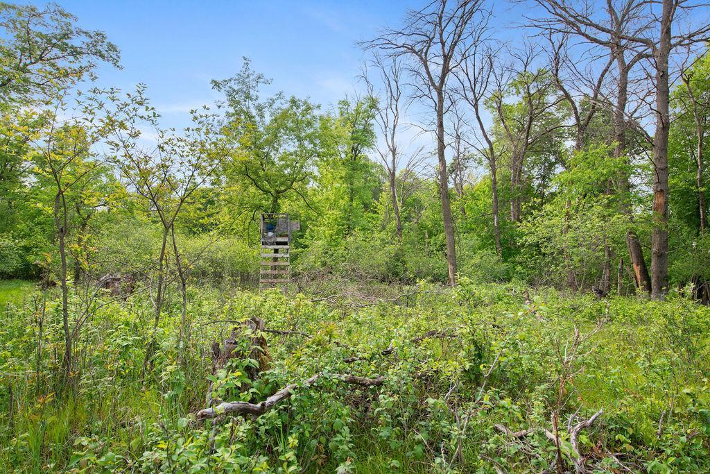 Isanti, Minnesota, 55040, United States, ,1 BathroomBathrooms,Residential,Active,1849500