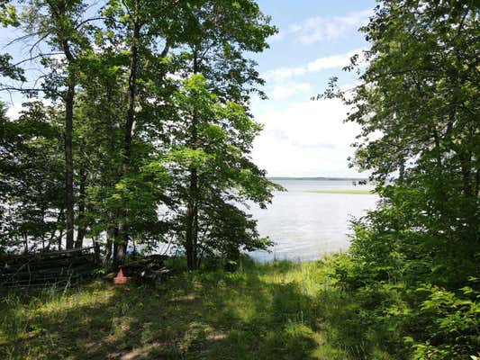 TBD IDAS ROAD, OSAGE, MN 56570 - Image 1