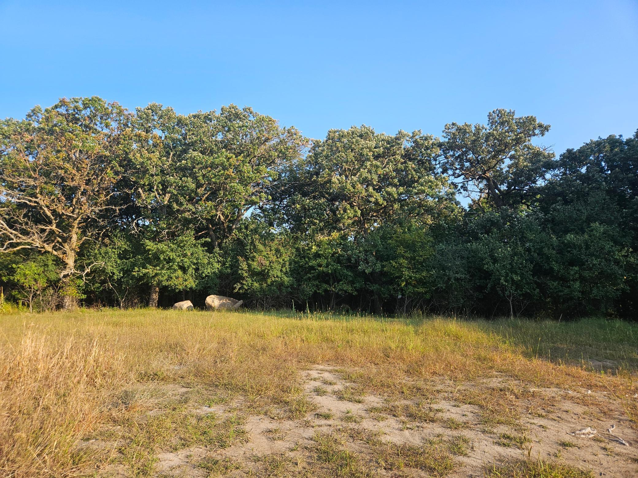 Rochester, Minnesota, 55902, United States, 5 Bedrooms Bedrooms, ,6 BathroomsBathrooms,Residential,Active,1892599