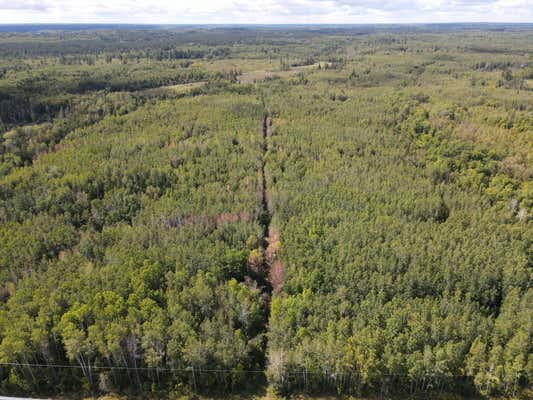 TBD STATE HWY 1, TOGO, MN 55723 - Image 1