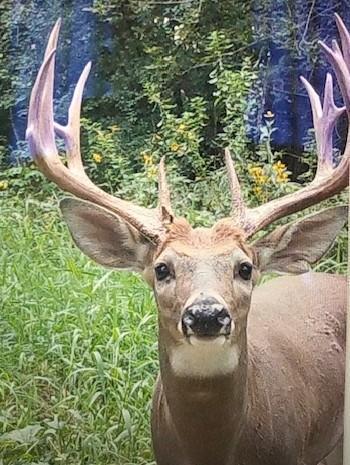 Rochester, Minnesota, 55902, United States, 5 Bedrooms Bedrooms, ,3 BathroomsBathrooms,Residential,Active,1899217