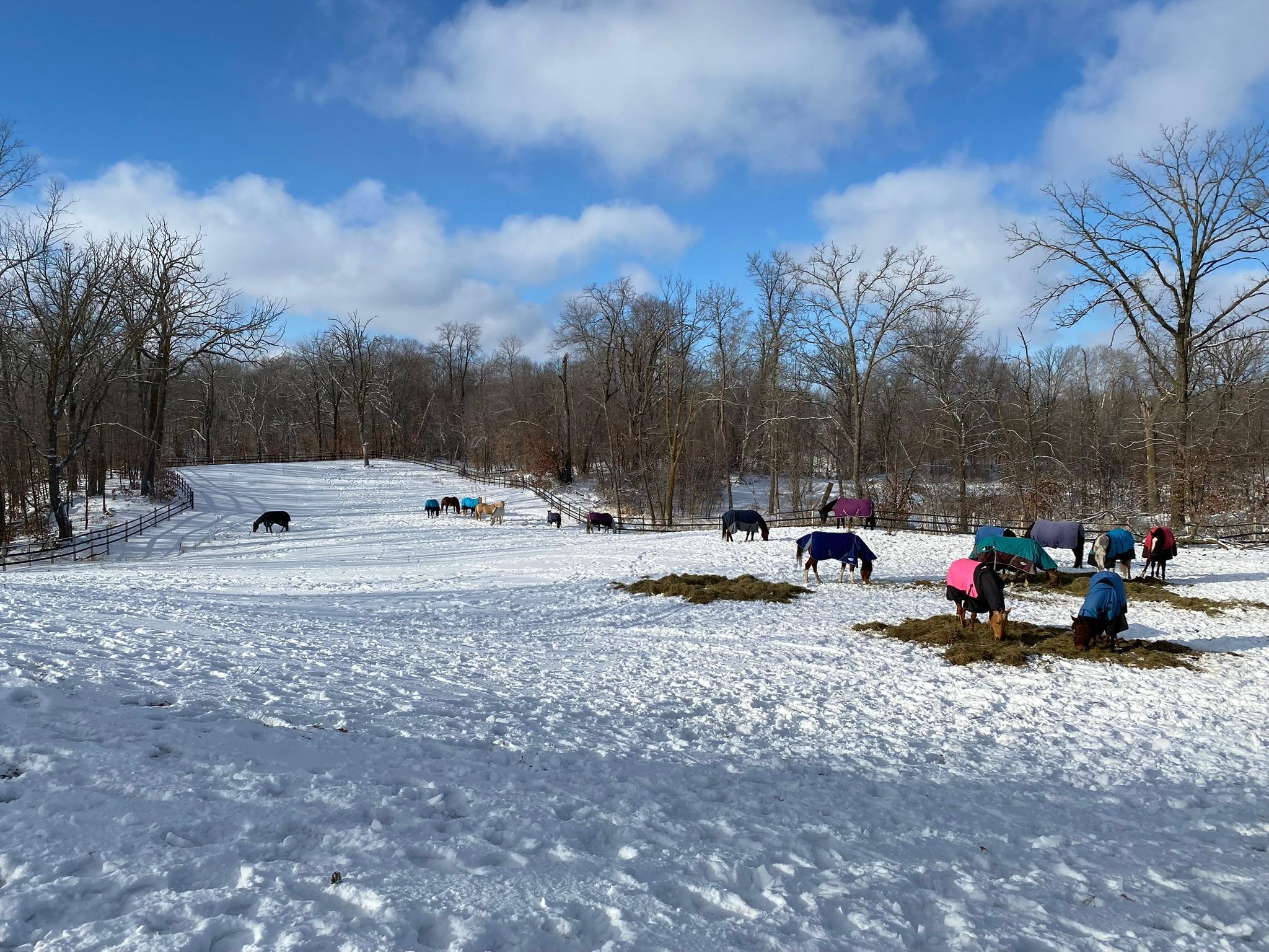 Detroit Lakes, Minnesota, 56501, United States, 3 Bedrooms Bedrooms, ,2 BathroomsBathrooms,Residential,Active,2017453