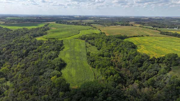 XXX STATE HWY 43, MABEL, MN 55954 - Image 1