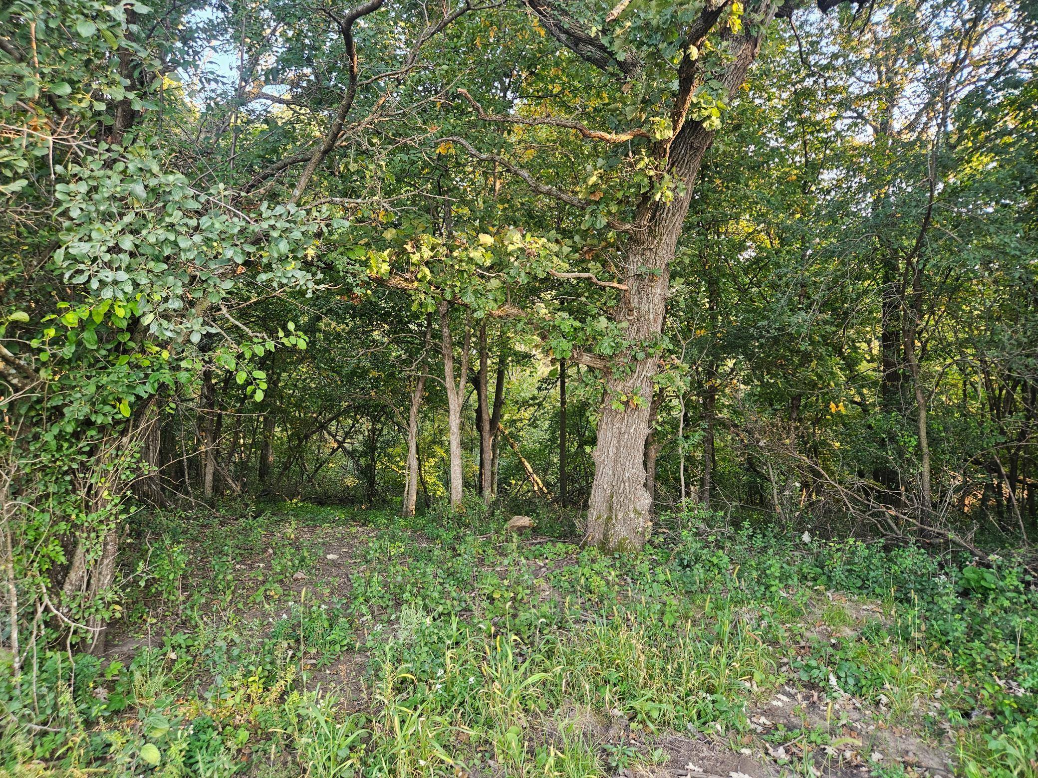 Rochester, Minnesota, 55902, United States, 5 Bedrooms Bedrooms, ,6 BathroomsBathrooms,Residential,Active,1892599