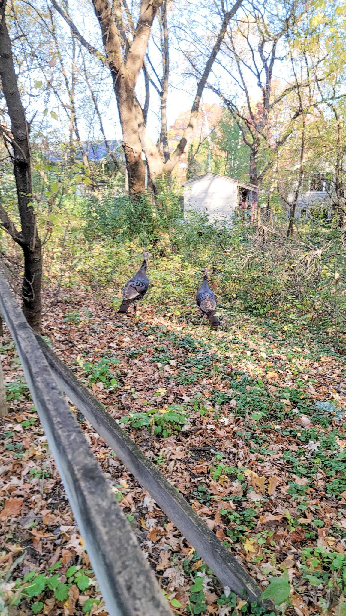 Eagan, Minnesota, 55123, United States, 5 Bedrooms Bedrooms, ,6 BathroomsBathrooms,Residential,Active,1944081