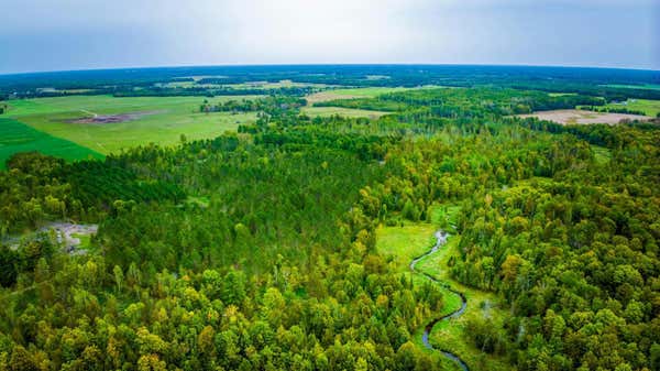 0000 N BLACKDUCK LAKE ROAD NE, HINES, MN 56647, photo 4 of 15