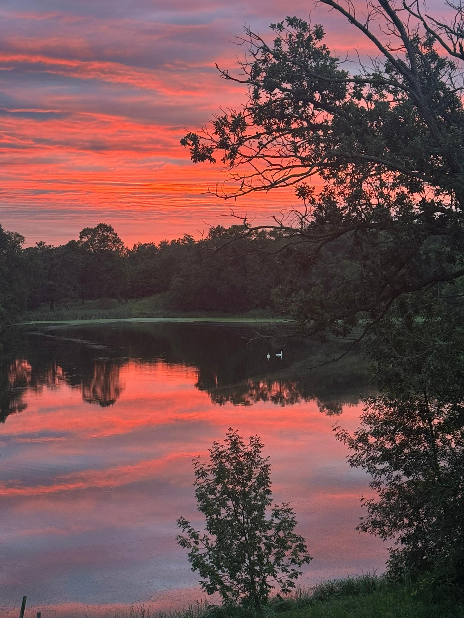 Detroit Lakes, Minnesota, 56501, United States, 3 Bedrooms Bedrooms, ,2 BathroomsBathrooms,Residential,Active,2017453