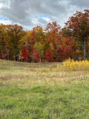 XXX 218TH STREET N, SCANDIA, MN 55073 - Image 1