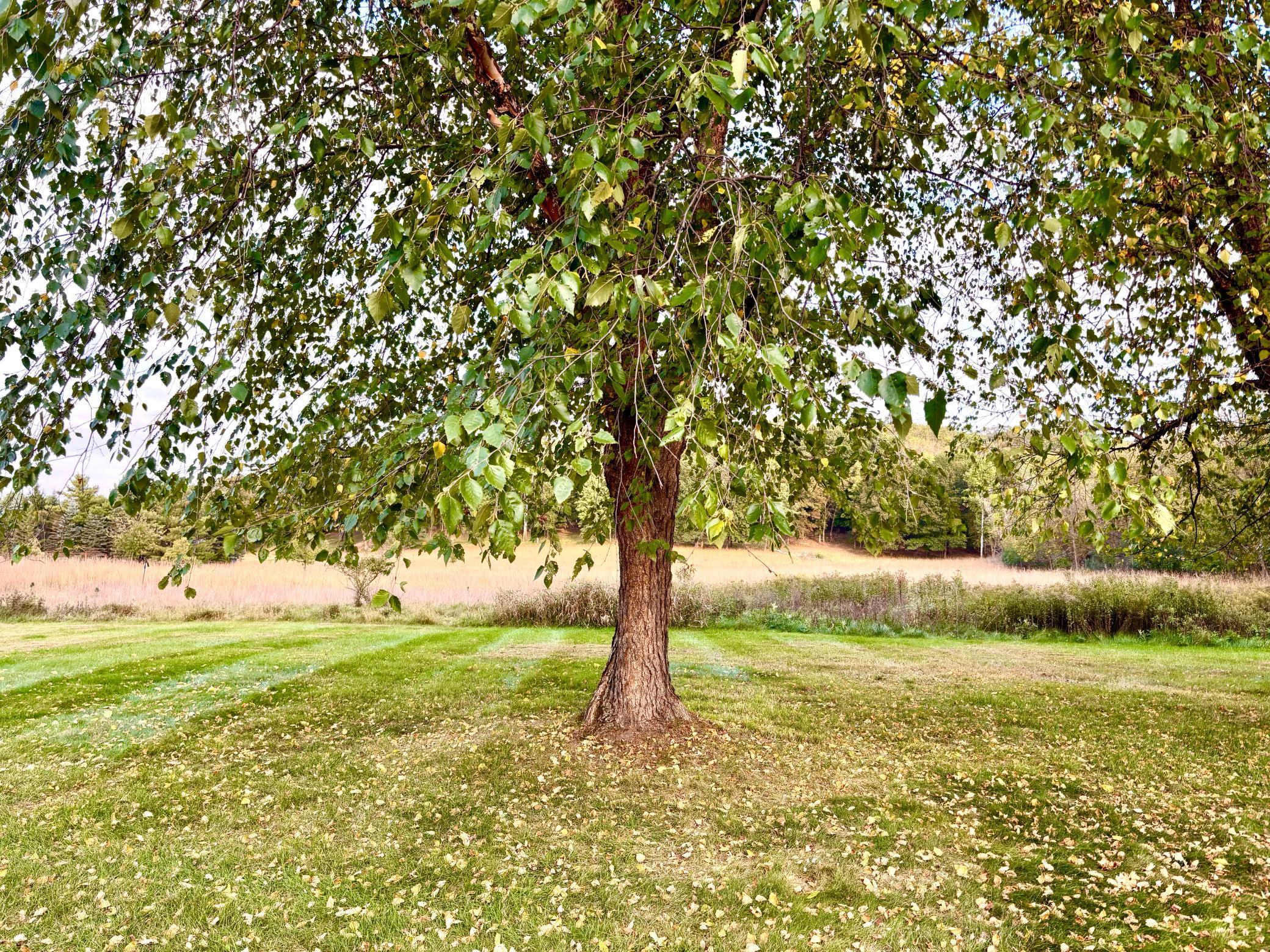 Afton, Minnesota, 55001, United States, 6 Bedrooms Bedrooms, ,6 BathroomsBathrooms,Residential,Active,1973262