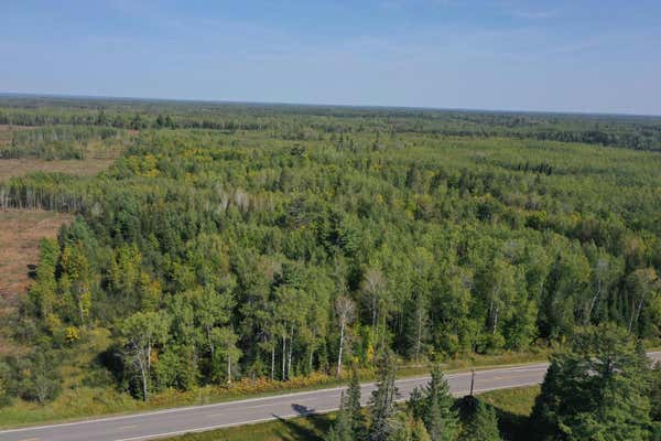 TBD HWY 1, COOK, MN 55723 - Image 1