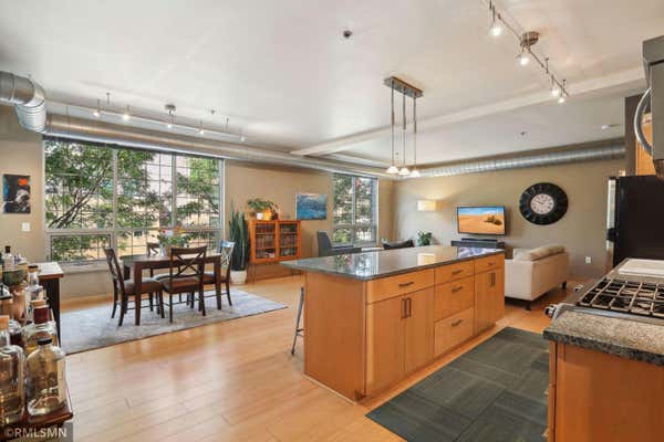 521 2ND ST SE APT 204, MINNEAPOLIS, MN 55414 - Image 1