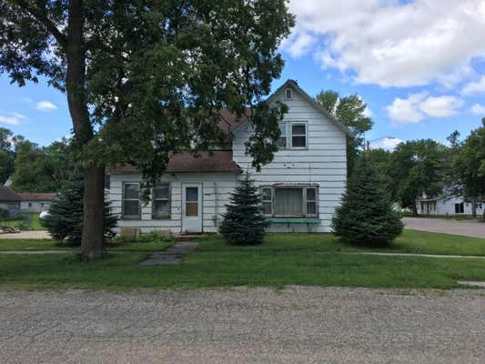 202 3RD ST S, BELLINGHAM, MN 56212 - Image 1