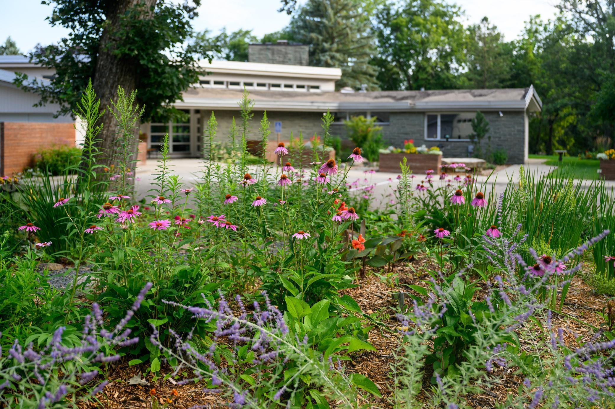 Rochester, Minnesota, 55902, United States, 10 Bedrooms Bedrooms, ,6 BathroomsBathrooms,Residential,Active,1970931