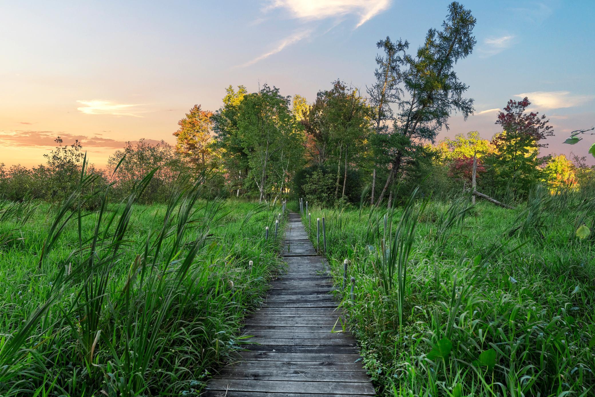 Andover, Minnesota, 55304, United States, 5 Bedrooms Bedrooms, ,5 BathroomsBathrooms,Residential,Active,1943833
