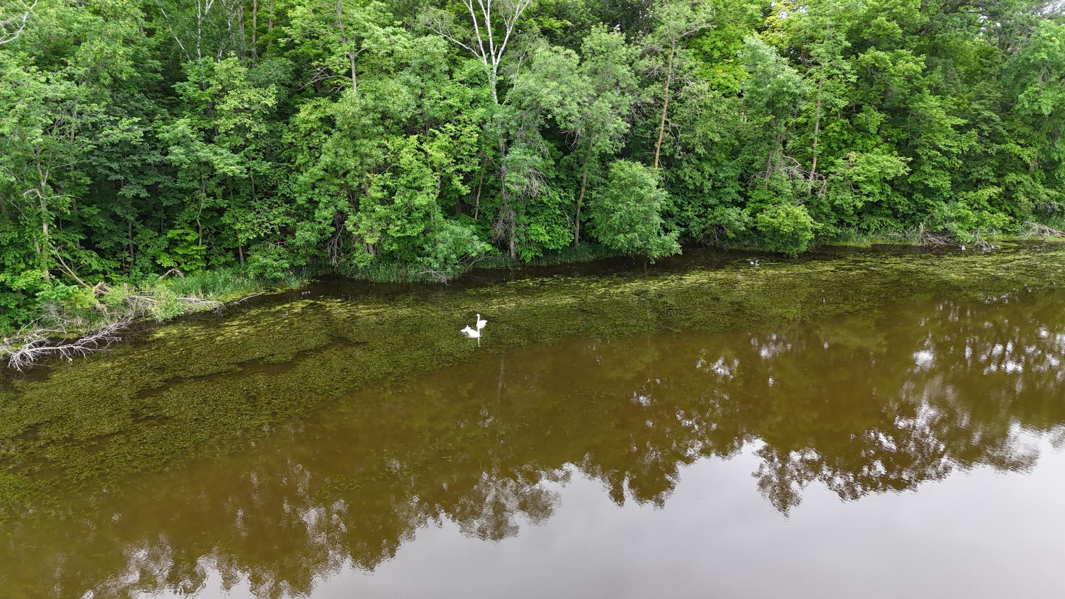 Detroit Lakes, Minnesota, 56501, United States, 3 Bedrooms Bedrooms, ,2 BathroomsBathrooms,Residential,Active,2017453