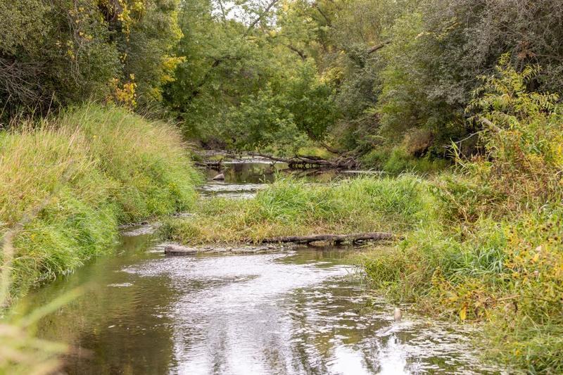 Fairmont, Minnesota, 56031, United States, 1 Bedroom Bedrooms, ,1 BathroomBathrooms,Residential,Active,1772774