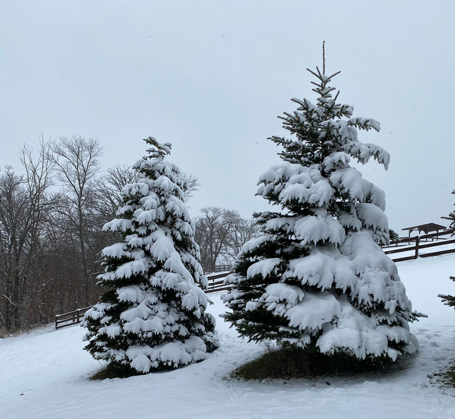 Detroit Lakes, Minnesota, 56501, United States, 3 Bedrooms Bedrooms, ,2 BathroomsBathrooms,Residential,Active,2017453