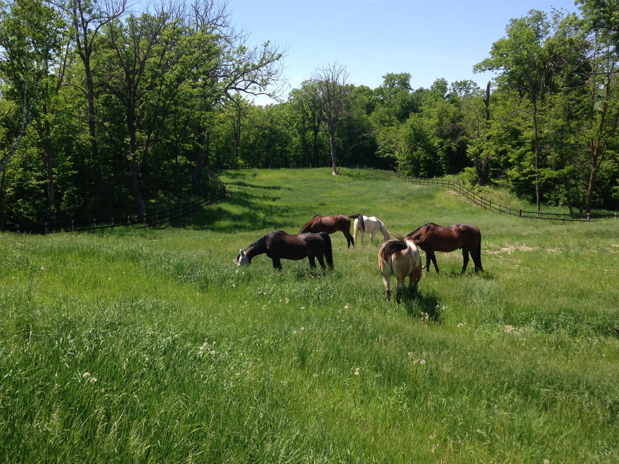Detroit Lakes, Minnesota, 56501, United States, 3 Bedrooms Bedrooms, ,2 BathroomsBathrooms,Residential,Active,2017453