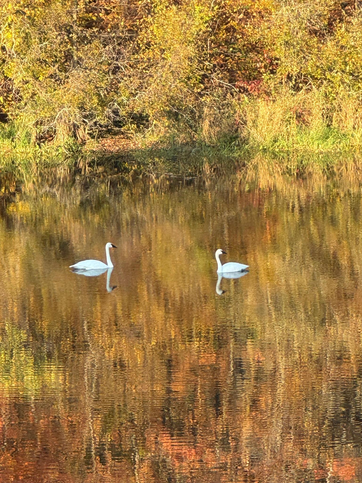 Detroit Lakes, Minnesota, 56501, United States, 3 Bedrooms Bedrooms, ,2 BathroomsBathrooms,Residential,Active,2017453