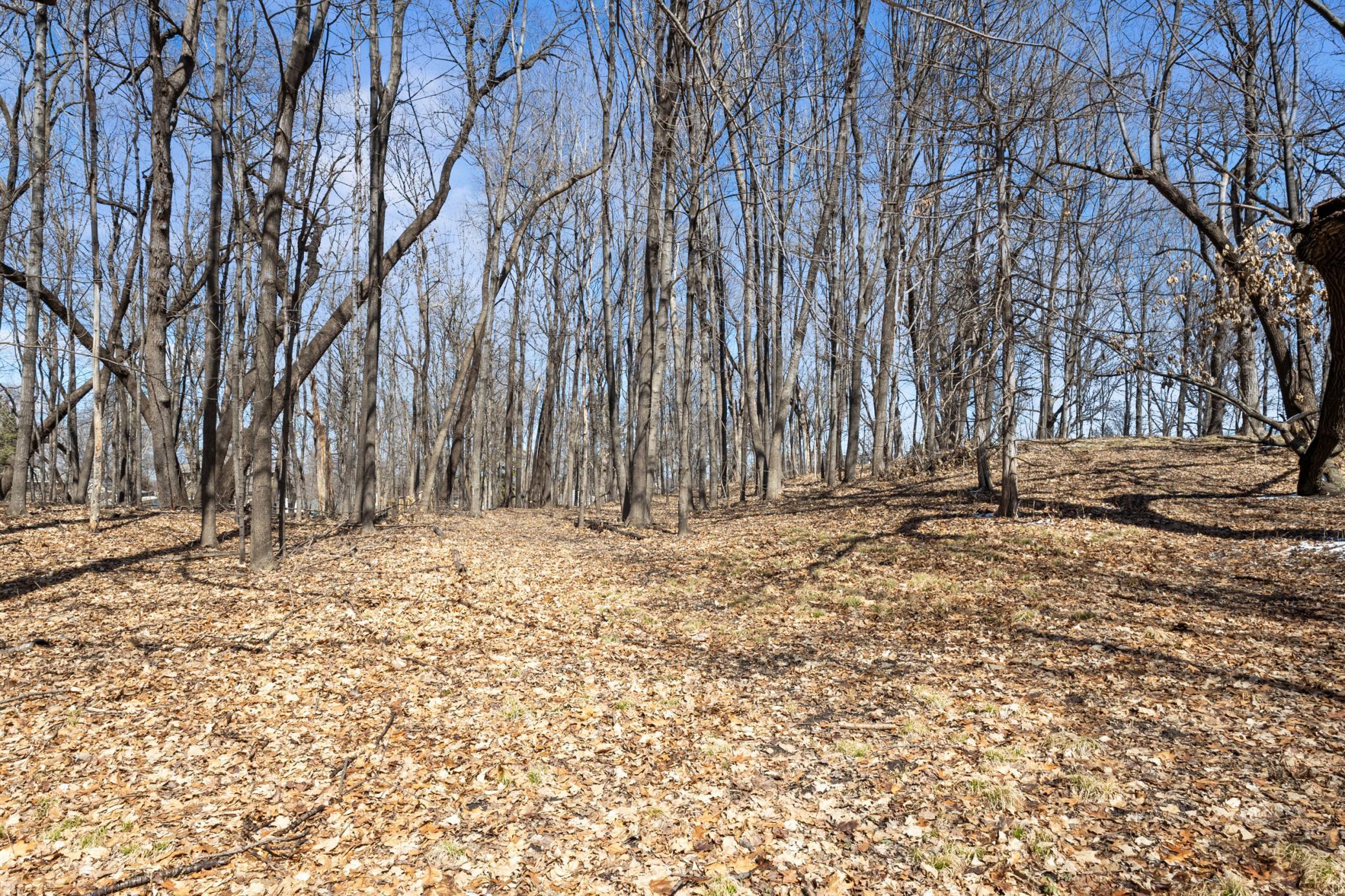 Wayzata, Minnesota, 55391, United States, 6 Bedrooms Bedrooms, ,5 BathroomsBathrooms,Residential,Active,1945262