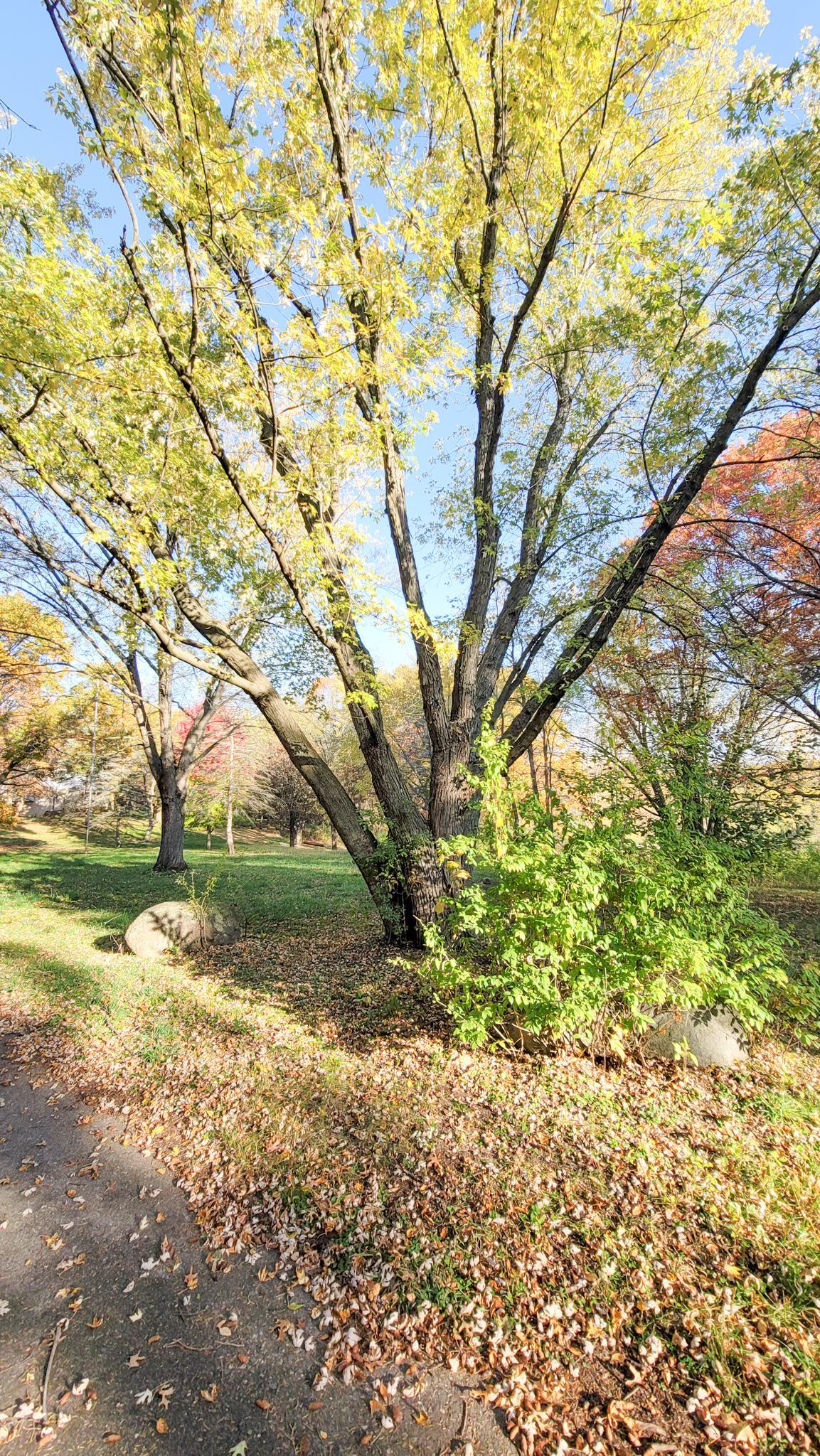 Eagan, Minnesota, 55123, United States, 5 Bedrooms Bedrooms, ,6 BathroomsBathrooms,Residential,Active,1944081