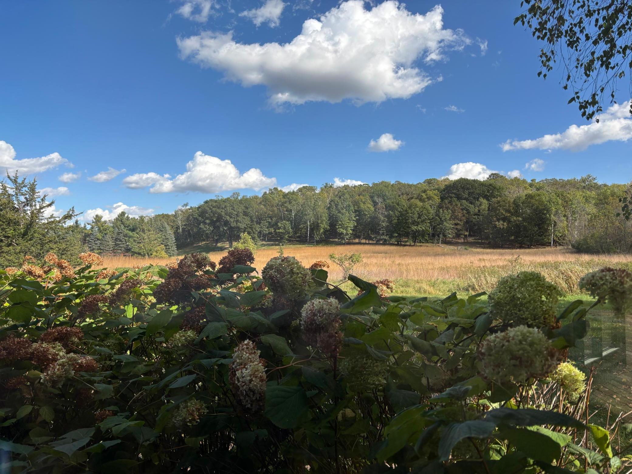 Afton, Minnesota, 55001, United States, 6 Bedrooms Bedrooms, ,6 BathroomsBathrooms,Residential,Active,1973262