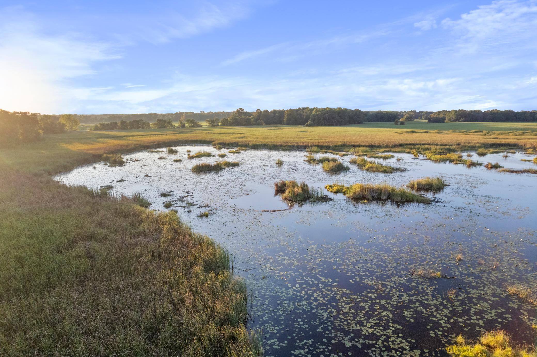 Andover, Minnesota, 55304, United States, 5 Bedrooms Bedrooms, ,5 BathroomsBathrooms,Residential,Active,1943833