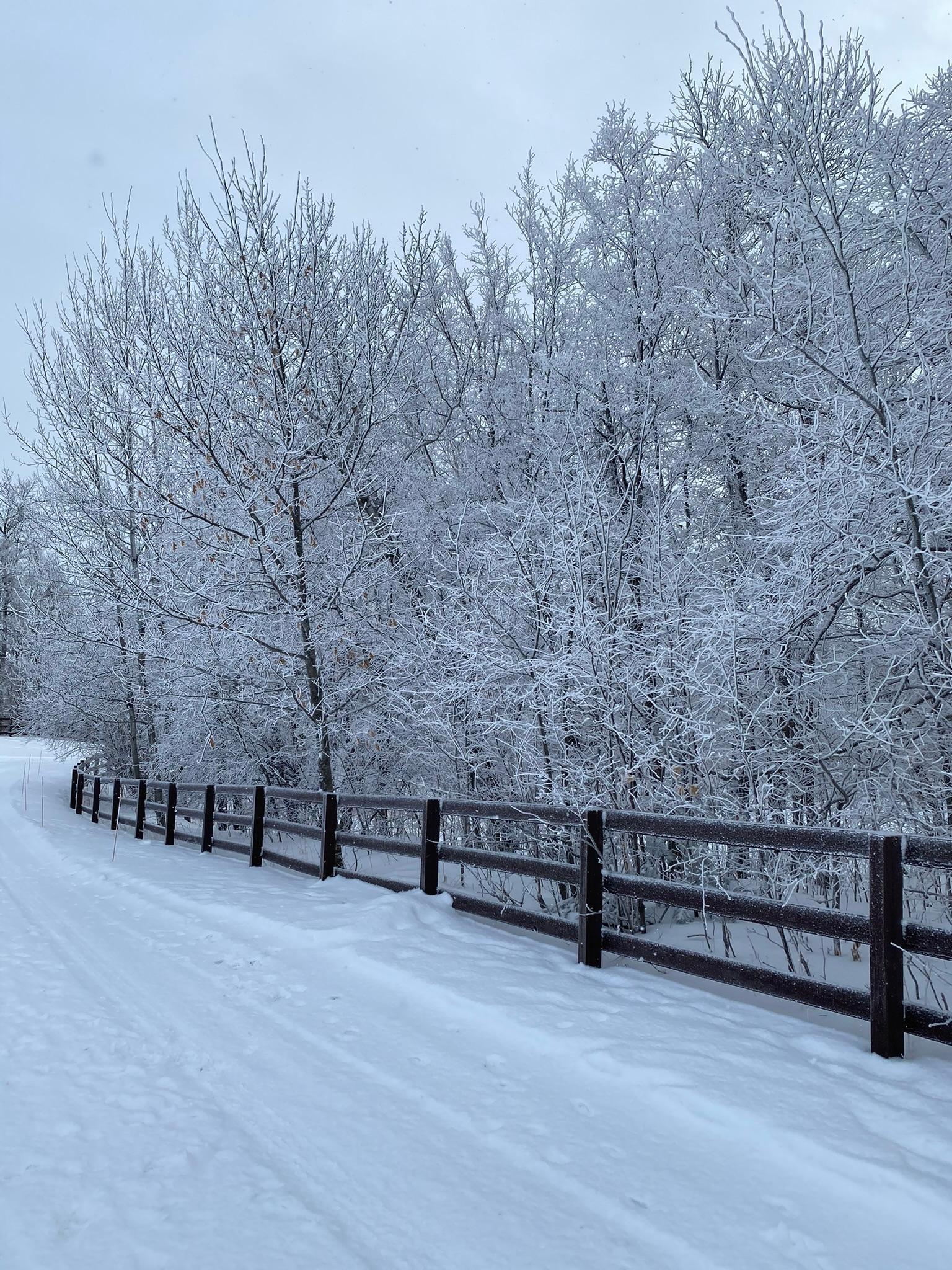 Detroit Lakes, Minnesota, 56501, United States, 3 Bedrooms Bedrooms, ,2 BathroomsBathrooms,Residential,Active,2017453