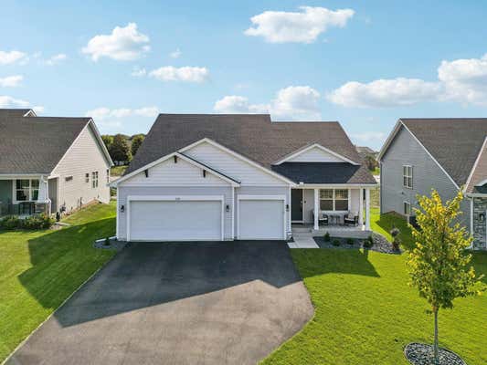 1338 CHESTNUT CIR, CARVER, MN 55315 - Image 1