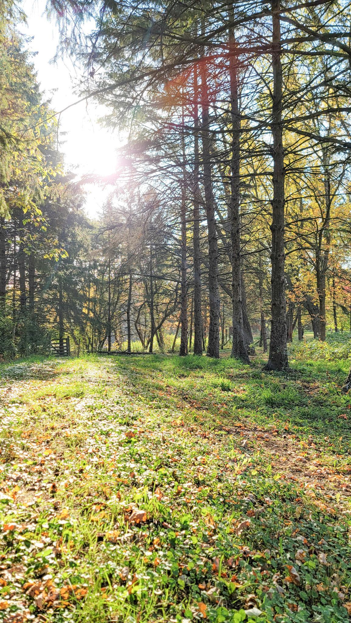 Eagan, Minnesota, 55123, United States, 5 Bedrooms Bedrooms, ,6 BathroomsBathrooms,Residential,Active,1944081