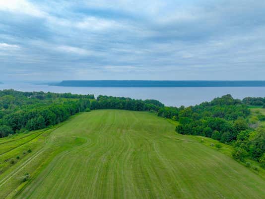 XXX 440TH STREET, MAIDEN ROCK, WI 54750 - Image 1