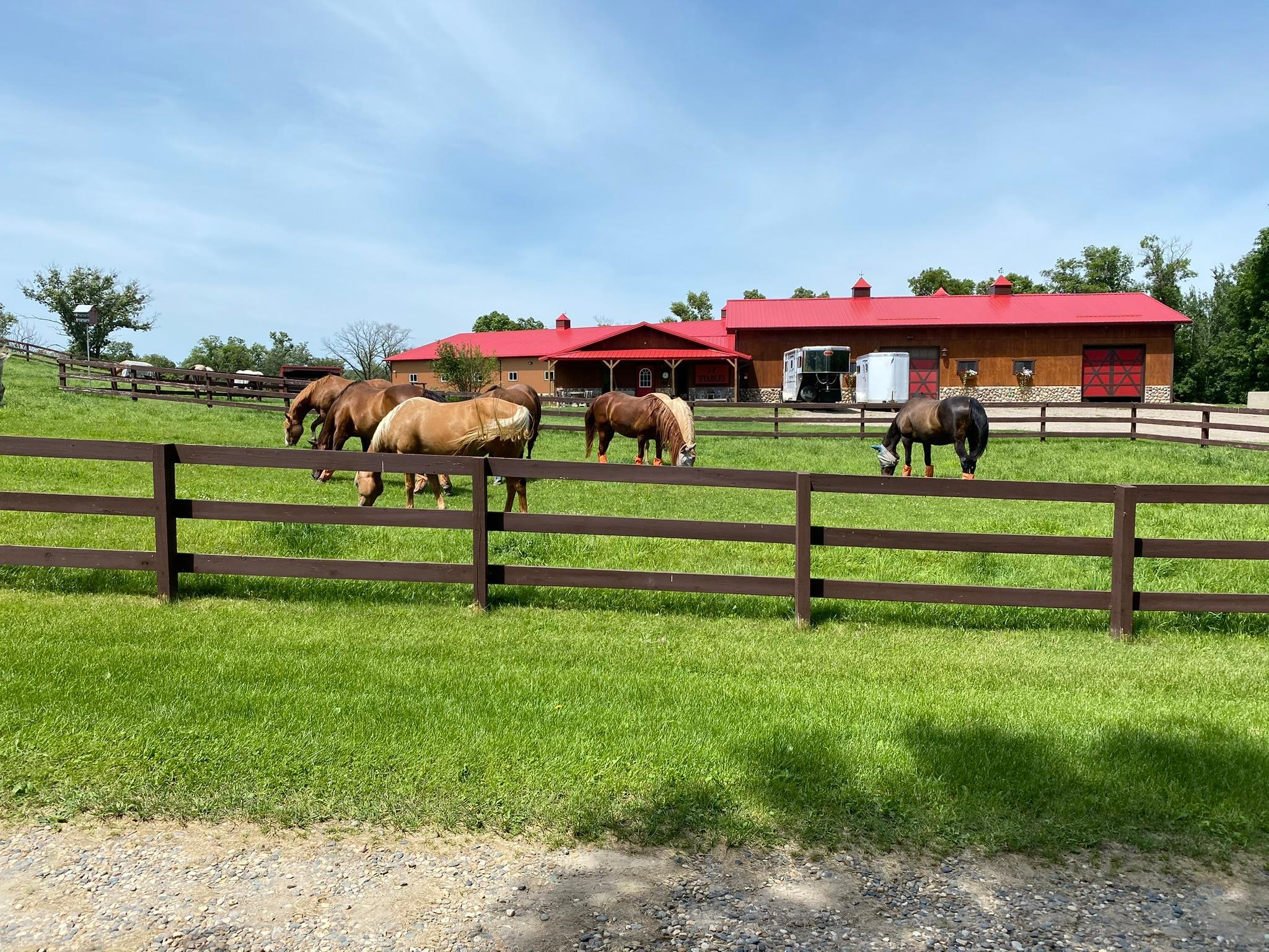 Detroit Lakes, Minnesota, 56501, United States, 3 Bedrooms Bedrooms, ,2 BathroomsBathrooms,Residential,Active,2017453