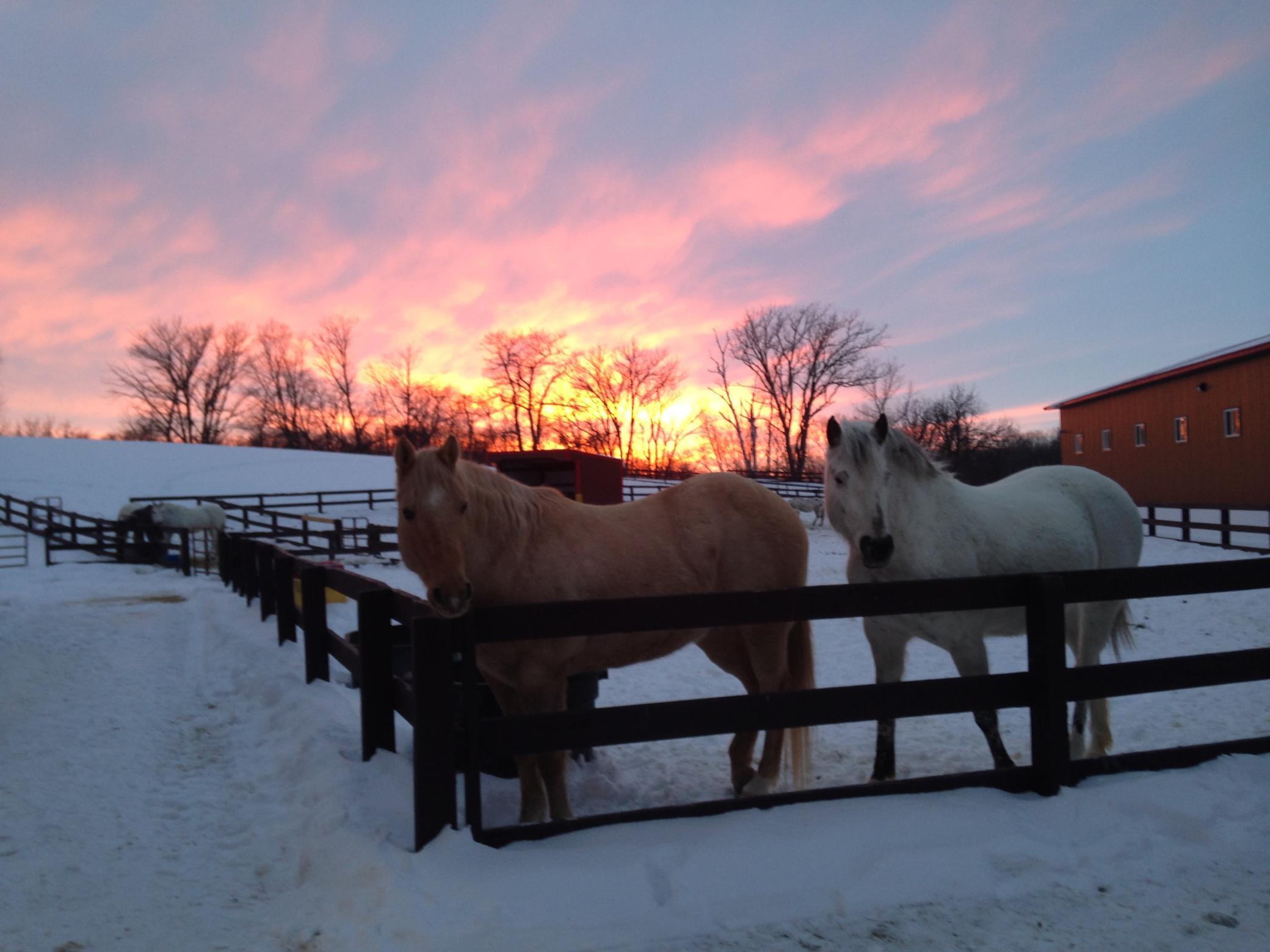 Detroit Lakes, Minnesota, 56501, United States, 3 Bedrooms Bedrooms, ,2 BathroomsBathrooms,Residential,Active,2017453