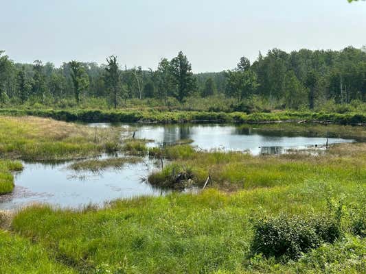 XX CARAWAY ROAD, EMILY, MN 56447, photo 3 of 49