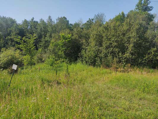 TBD 168TH STREET, HILLMAN, MN 56338 - Image 1