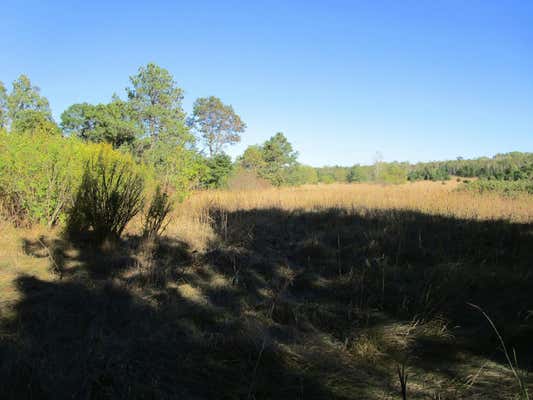 TBD ROOSEVELT ROAD SE, BEMIDJI, MN 56601, photo 3 of 5