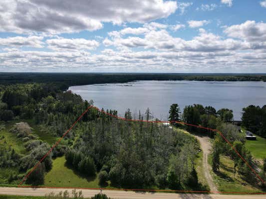 20399 SHALLOW LAKE LN, WARBA, MN 55793 - Image 1