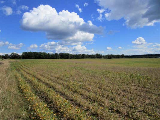 PARCEL 1 110TH STREET, FREDERIC, WI 54837 - Image 1