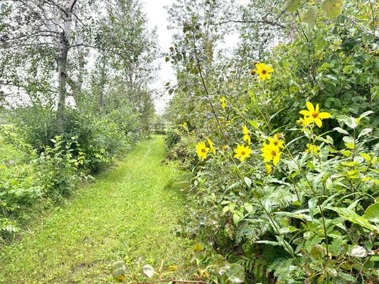 TBD-85+/-AC 380TH AVENUE, HILLMAN, MN 56338, photo 2 of 34