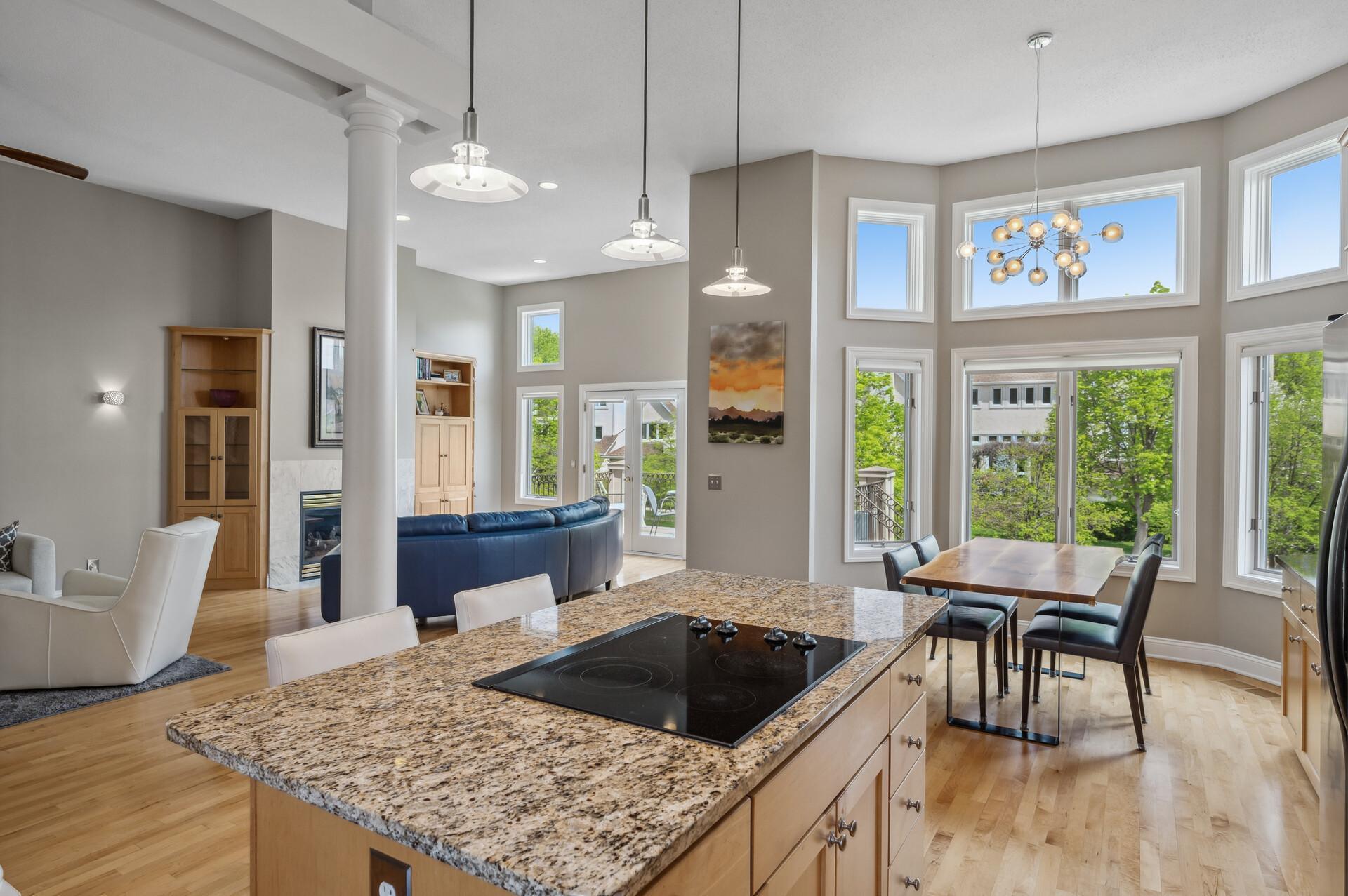 Minneapolis, Minnesota, 55401, United States, 4 Bedrooms Bedrooms, ,4 BathroomsBathrooms,Residential,Active,2003546