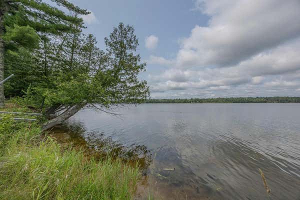 948 WABEDO SPRINGS RD NE, LONGVILLE, MN 56655, photo 2 of 29