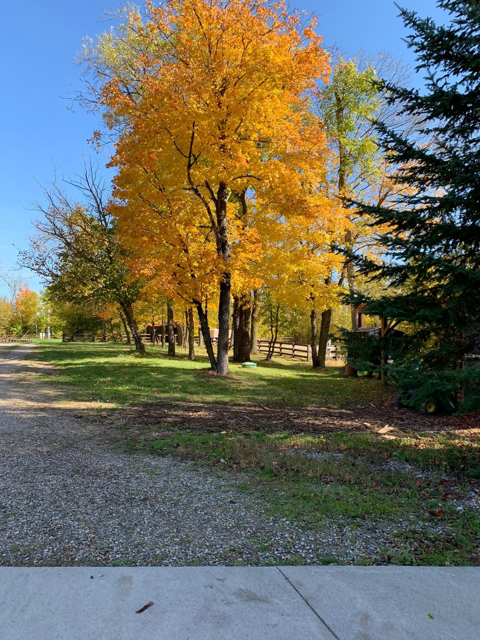 Detroit Lakes, Minnesota, 56501, United States, 3 Bedrooms Bedrooms, ,2 BathroomsBathrooms,Residential,Active,2017453