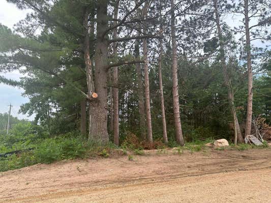 LOT 1 BLK 2 BRUMMER DRIVE, RANDALL, MN 56475 - Image 1