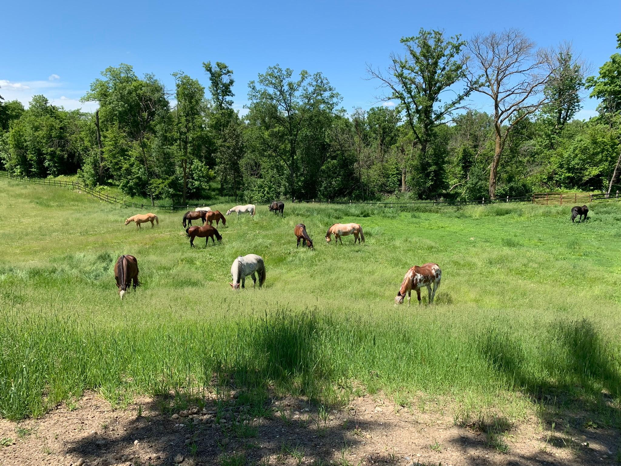 Detroit Lakes, Minnesota, 56501, United States, 3 Bedrooms Bedrooms, ,2 BathroomsBathrooms,Residential,Active,2017453
