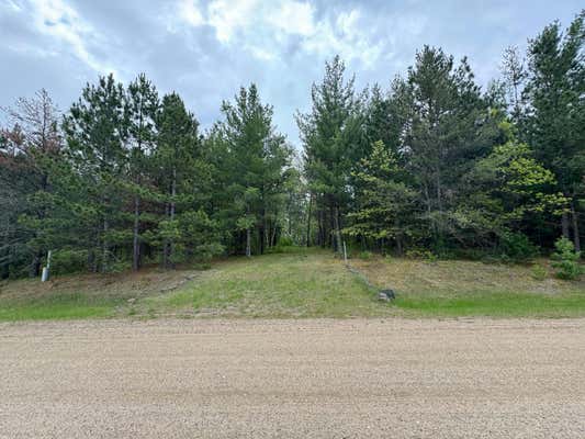 LOT 10 GREAT DEER DRIVE, NEVIS, MN 56467 - Image 1