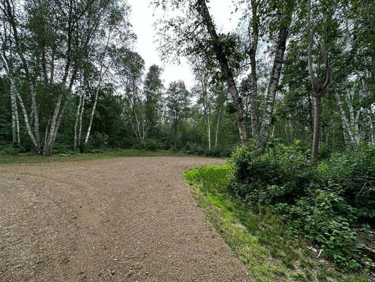 TBD BLACKBIRD TRAIL, NEVIS, MN 56467 - Image 1