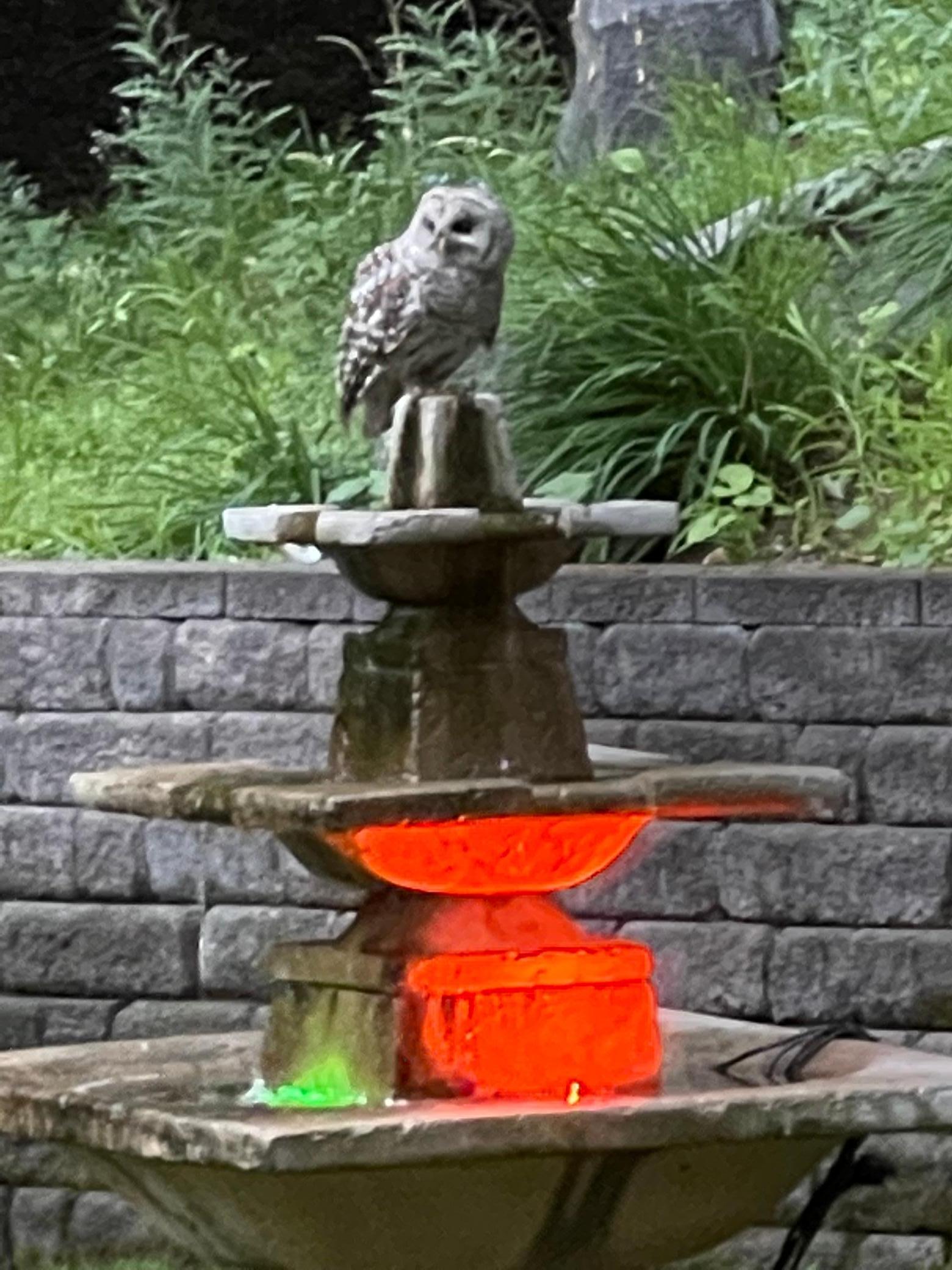 Orono, Minnesota, 55391, United States, 4 Bedrooms Bedrooms, ,3 BathroomsBathrooms,Residential,Active,1999170