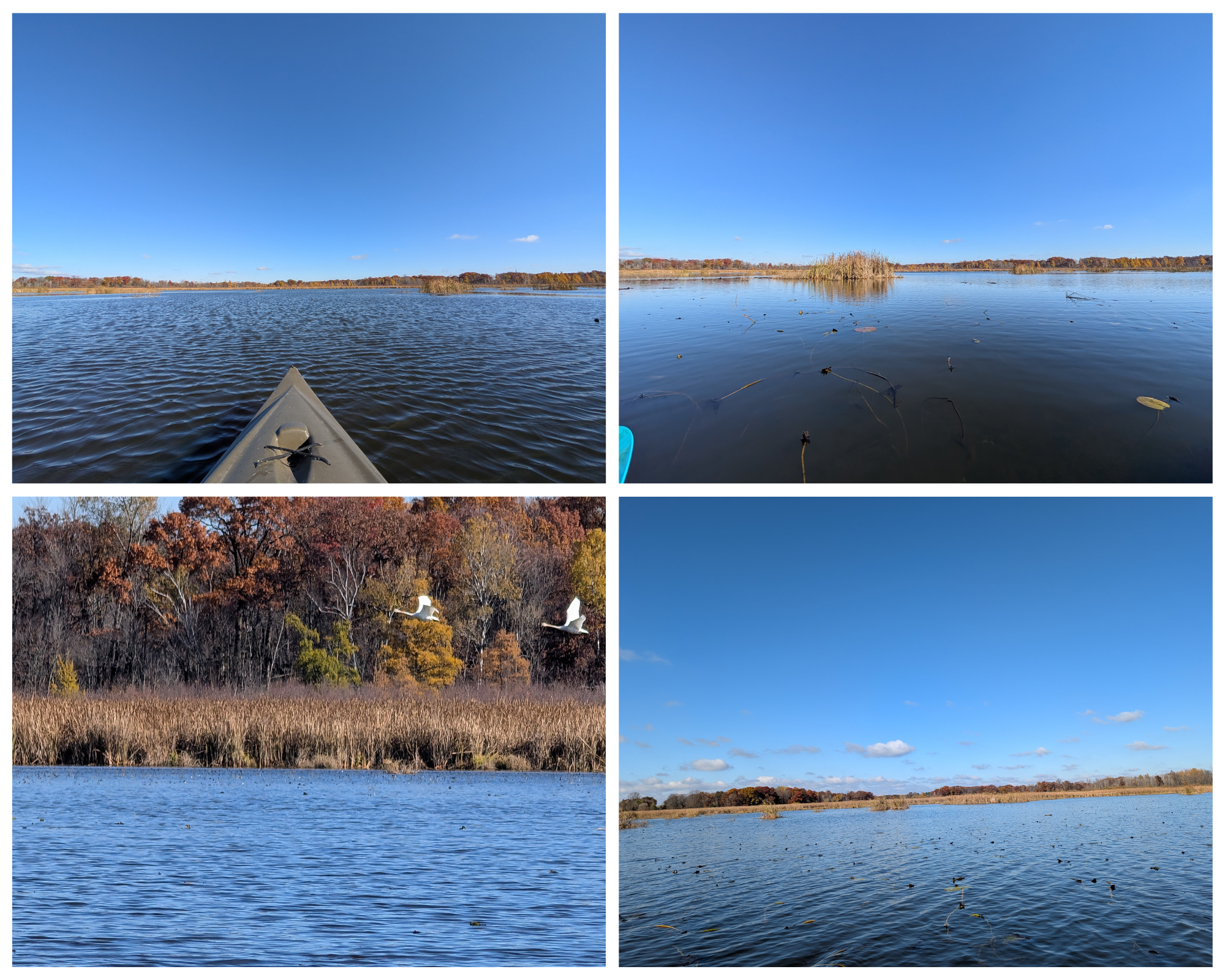 Andover, Minnesota, 55304, United States, 5 Bedrooms Bedrooms, ,5 BathroomsBathrooms,Residential,Active,1943833